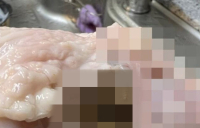 하림 생닭에 벌레가 ‘우글우글’…당국 “재발 방지 마련해야”