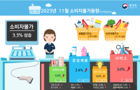 11월 물가 3.3% 상승…넉달 연속 3%대 유지