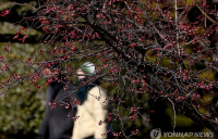 수도권 등 중서부 지방 미세먼지 ‘나쁨’