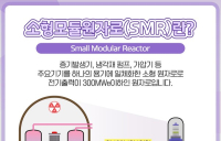 ‘SMR’도 원팀…건설사, 차세대 원전 개발  탄력받나