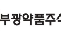부광약품, 각자 대표 체제 돌입…한미 우기석·OCI 이제영 선임