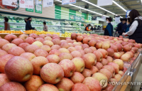 ‘金사과’ ‘金배’ 소매가 일주일 새 10% 가량 내렸지만…