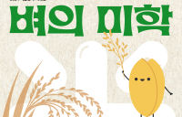 “벼, 어디서 왔니”…농협박물관, 여름방학 앞두고 ‘벼의 米학’ 전시
