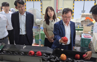 NS홈쇼핑, 거창 사과 프리미엄 브랜드로 육성