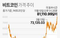 비트코인, 사상 첫 8만달러 돌파 후 8만1천달러도 넘어