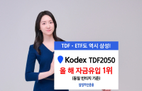 삼성KODEX TDF2050액티브, 올해 자금유입 1위