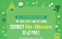 펄어비스, 양재천 건강한 생태계 복원...‘환경의 달’ 맞아 자원봉사 활동 전개
