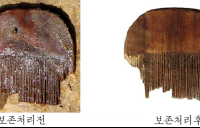 [포토 뷰] 북한, 목재유산보존기술 개발