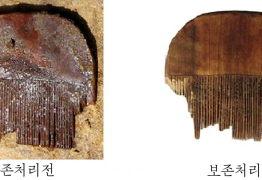북한, 목재유산보존기술 개발